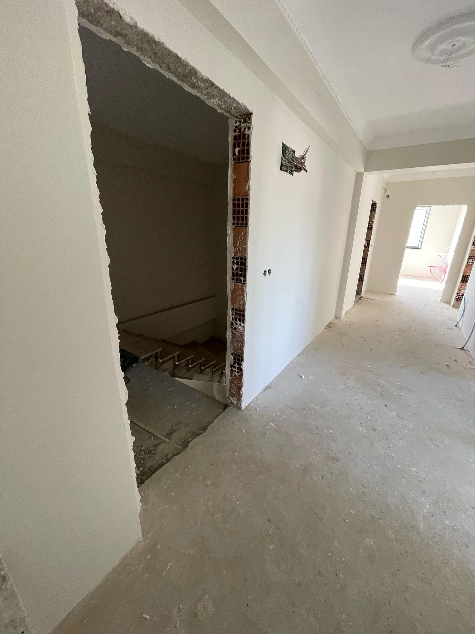 499527290_689295853847392_1737320737580677989_n